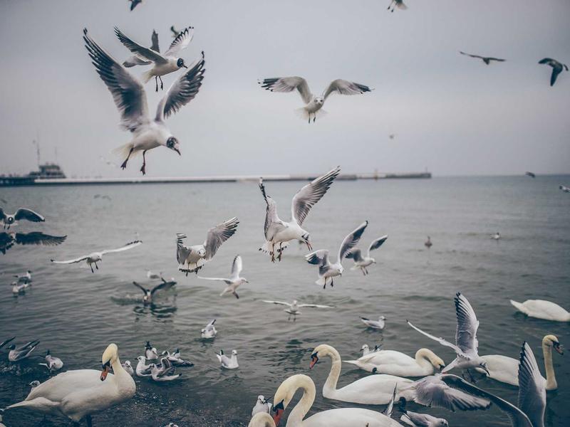 sudoku learning tool screenshot 1